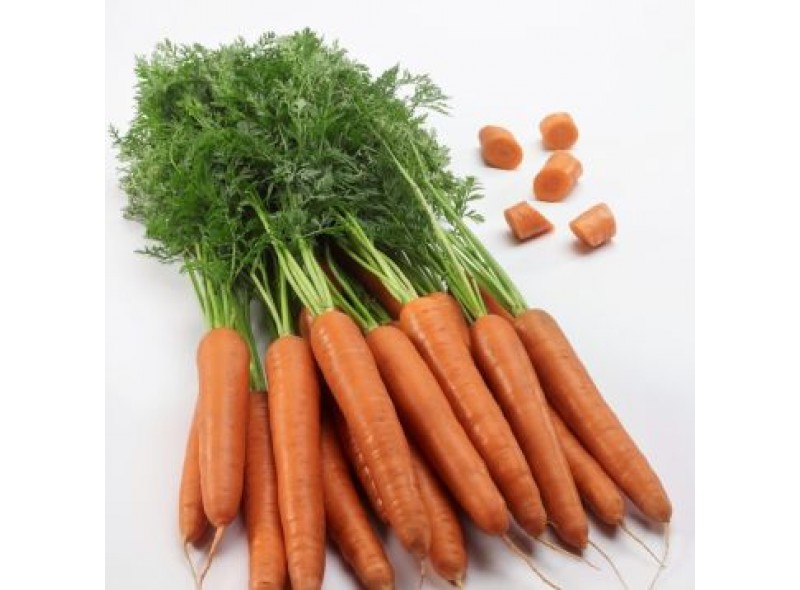  Семена моркови Титан F1 (2,0-2,4), Тип шантане, 250000 cемян, Lark Seeds